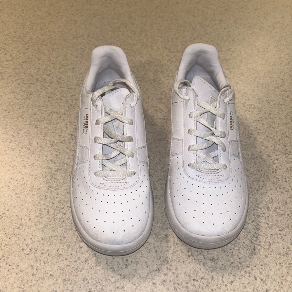 Puma 2Y